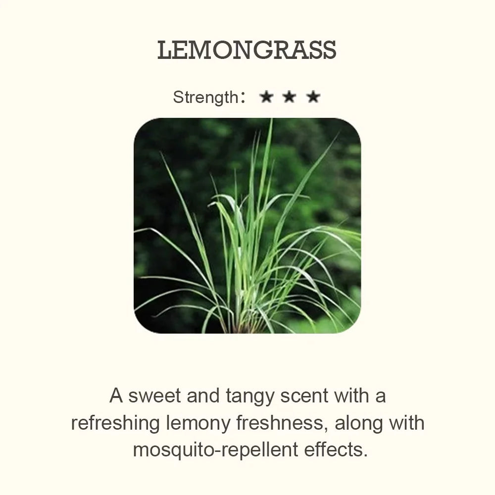500ml Essential Oil Perfume Fragrance Neroli Helichrysum Copaiba Turmeric Spearmint Anise Star 2023 New Aroma Oil Diffuser Oil
